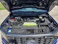 2026 Ford F-150 STX 4WD SuperCrew 5.5' Box