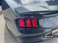 2025 Ford Mustang Dark Horse Fastback