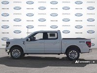 2026 Ford F-150 XLT 4WD SuperCrew 5.5' Box