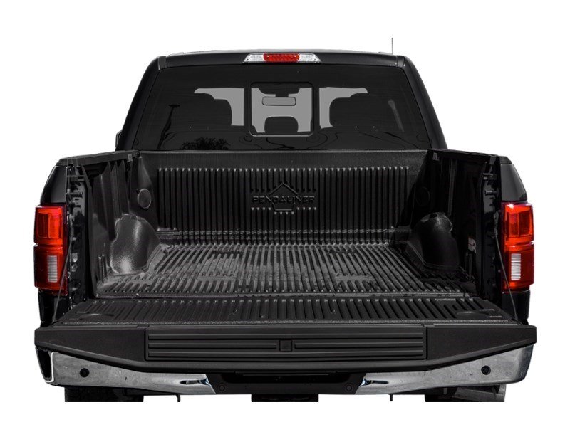 2020 Ford F-150 LARIAT 4WD SuperCrew 5.5' Box Exterior Shot 4