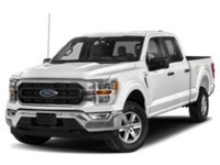 2022 Ford F-150 XLT 4WD SuperCrew 5.5' Box Exterior Shot 1