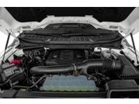 2023 Ford F-150 XLT 4WD SuperCrew 5.5' Box Exterior Shot 3