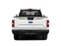 2019 Ford F-150 XLT 4WD SuperCab 6.5' Box Exterior Shot 8
