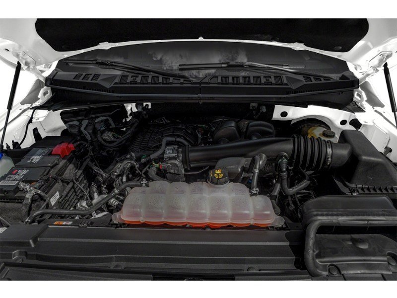 2019 Ford F-150 XLT 4WD SuperCab 6.5' Box Exterior Shot 3