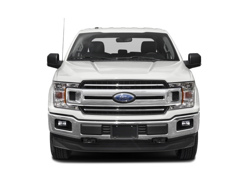 2020 Ford F-150 XLT 4WD SuperCrew 5.5' Box Exterior Shot 6