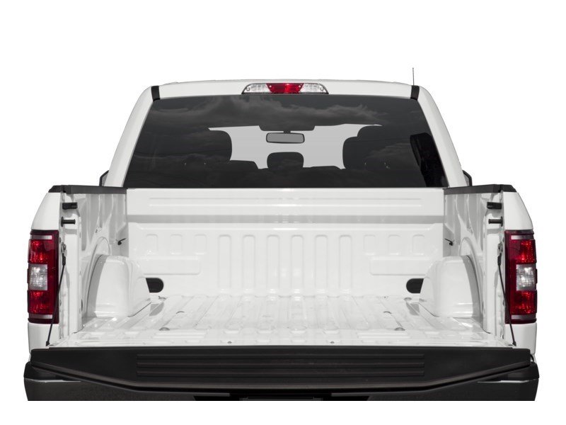 2020 Ford F-150 XLT 4WD SuperCrew 5.5' Box Exterior Shot 4