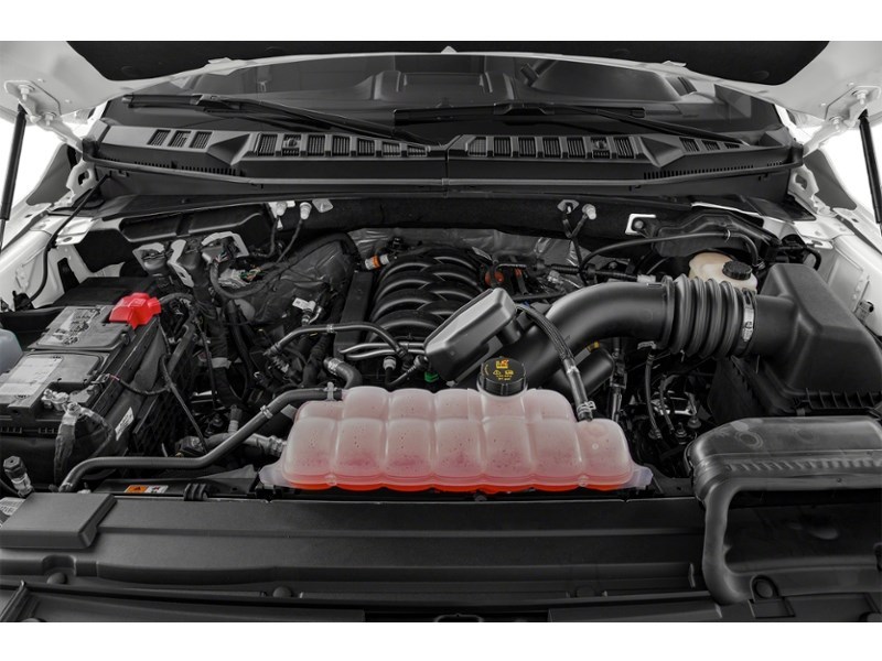 2020 Ford F-150 XLT 4WD SuperCrew 5.5' Box Exterior Shot 3