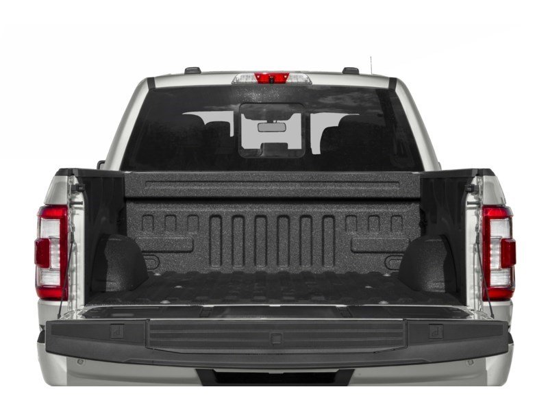 2023 Ford F-150 Platinum 4WD SuperCrew 5.5' Box Exterior Shot 4