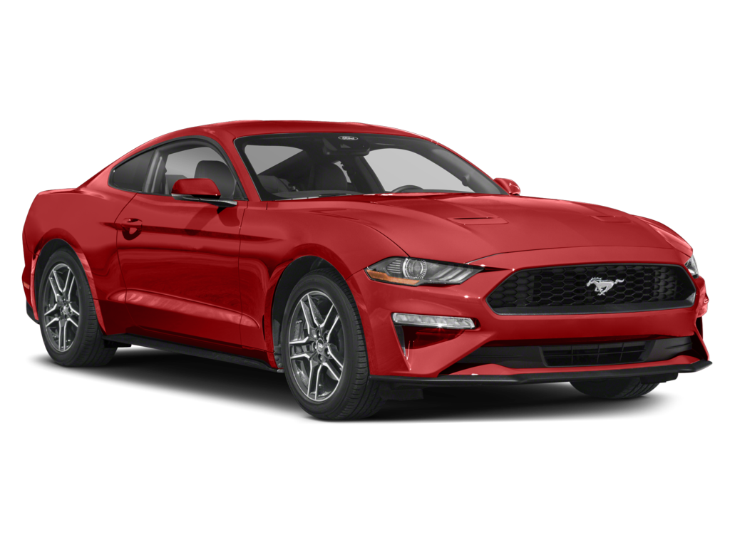 2023 ford mustang Exterior