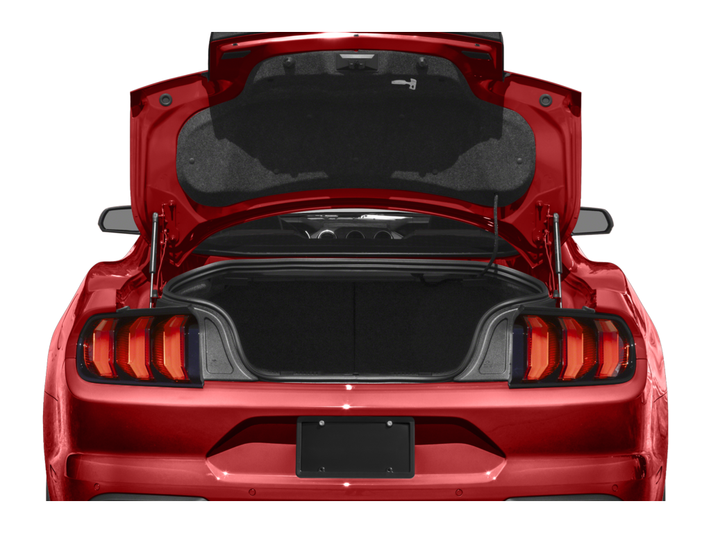 2023 ford mustang Exterior