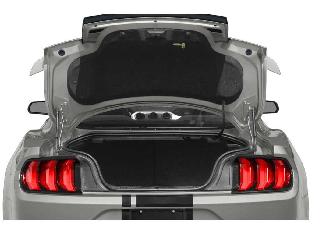 2023 ford mustang Exterior