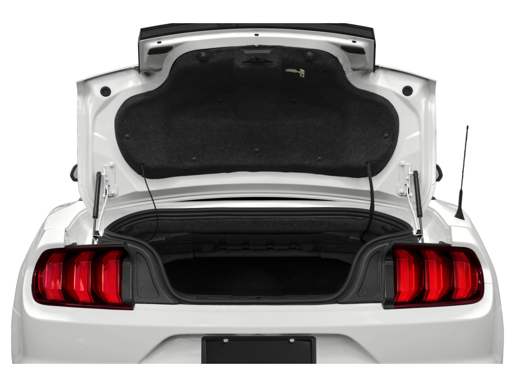 2023 ford mustang Exterior
