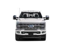2024 Ford Super Duty F-350 DRW Platinum 4WD Crew Cab 8' Box Exterior Shot 5