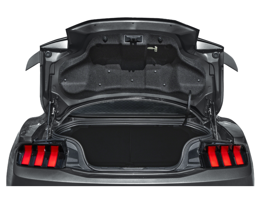 2026 ford mustang Exterior