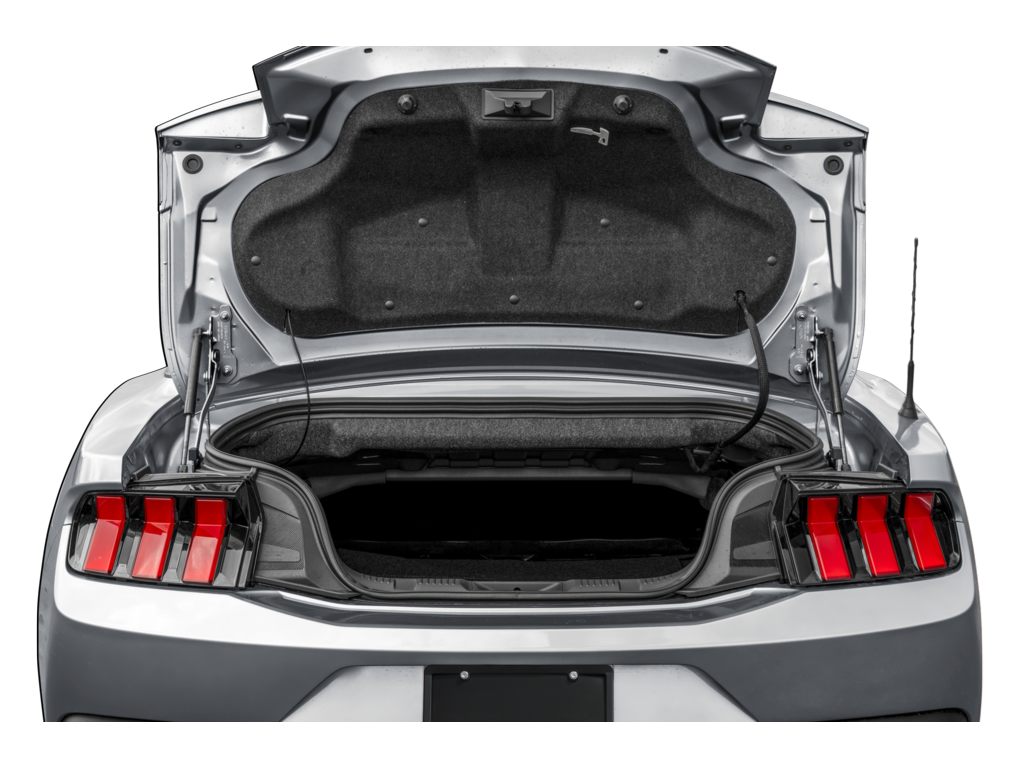 2026 ford mustang Exterior