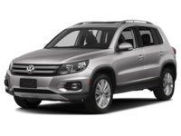 2017 Volkswagen Tiguan 4MOTION 4dr Wolfsburg Edition Reflex Silver Metallic  Shot 19