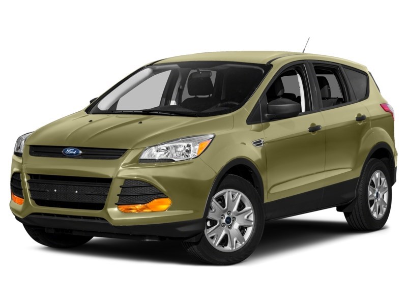 2013 Ford Escape 4WD 4dr SEL Ginger Ale Metallic  Shot 19