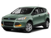 2013 Ford Escape 4WD 4dr SEL Frosted Glass Metallic  Shot 28