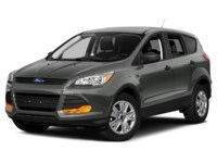 2013 Ford Escape 4WD 4dr SEL Sterling Grey Metallic  Shot 43