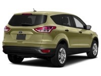 2013 Ford Escape 4WD 4dr SEL Ginger Ale Metallic  Shot 20