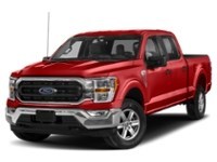 2023 Ford F-150 XLT 4WD SuperCrew 5.5' Box Race Red  Shot 54