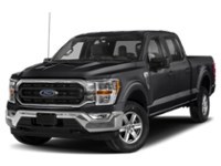 2023 Ford F-150 XLT 4WD SuperCrew 5.5' Box Agate Black Metallic  Shot 60