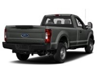 2019 Ford Super Duty F-250 SRW XL 4WD Reg Cab 8' Box Colour Shot 2
