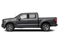 2023 Ford F-150 Platinum 4WD SuperCrew 5.5' Box Agate Black Metallic  Shot 3