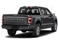2023 Ford F-150 Platinum 4WD SuperCrew 5.5' Box Agate Black Metallic  Shot 2