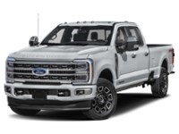 2024 Ford Super Duty F-350 DRW Platinum 4WD Crew Cab 8' Box Iconic Silver Metallic  Shot 22