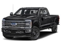 2024 Ford Super Duty F-350 DRW Platinum 4WD Crew Cab 8' Box Agate Black Metallic  Shot 33