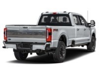 2024 Ford Super Duty F-350 DRW Platinum 4WD Crew Cab 8' Box Iconic Silver Metallic  Shot 24