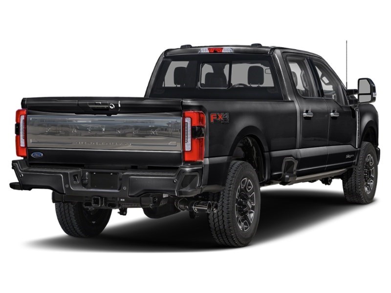 2024 Ford Super Duty F-350 DRW Platinum 4WD Crew Cab 8' Box Agate Black Metallic  Shot 38