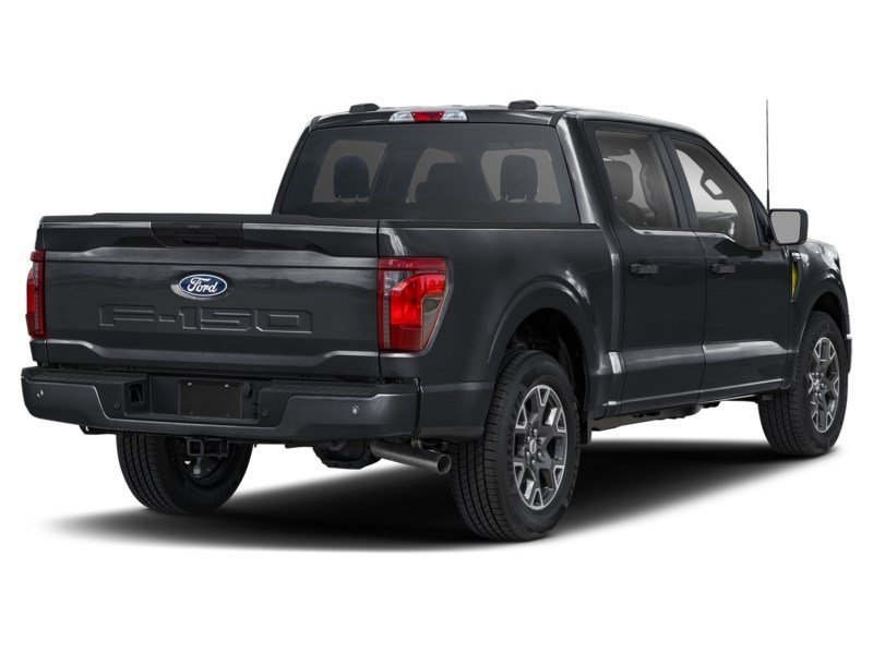 2025 Ford F-150 STX 4WD SuperCrew 5.5' Box Agate Black Metallic  Shot 6