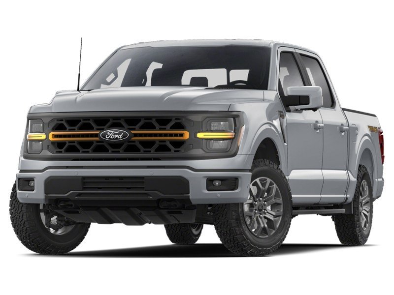 2025 Ford F-150 Tremor 4WD SuperCrew 5.5' Box Iconic Silver Metallic  Shot 1