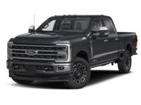 2024 Ford F-250 Platinum 4WD Crew Cab 6.75' Box Agate Black Metallic  Shot 4
