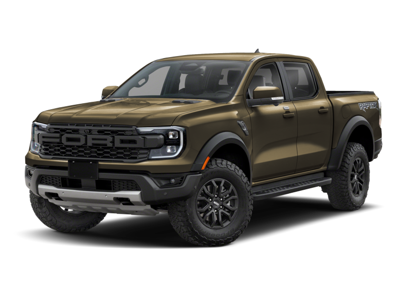 Raptor