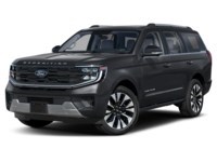 2026 Ford Expedition Platinum 4x4 Agate Black Metallic  Shot 1