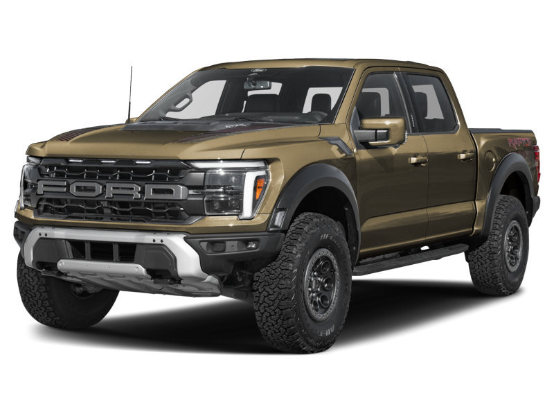 Raptor